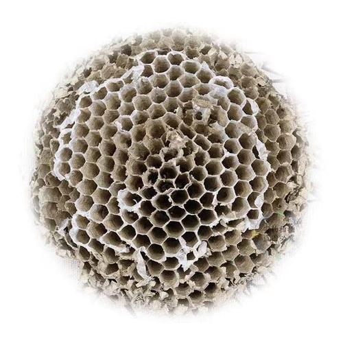 野生蜂房市場行情與中草藥科技應用分析